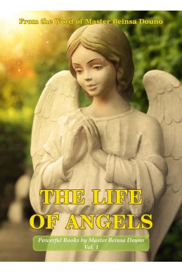 The life of angels